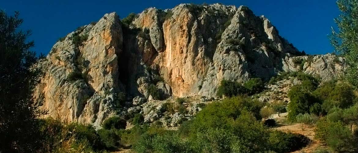 Private Pilates Sessions