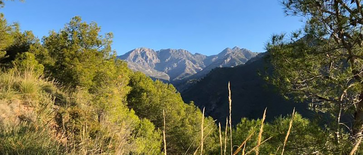 Pilates Tutor & Assessor Mentorship Programmes